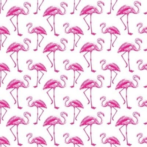 Flamingo | Pink Flamingo | No. 2