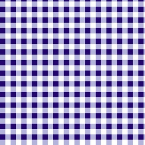 2xSmall Scale - Non-Directional - Plain Gingham - Dark Purple - Light Purple - White