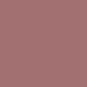 Trendy Terracotta Red Solid