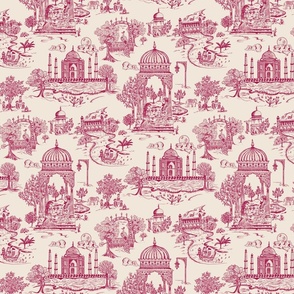Agra Toile / small in classic pink