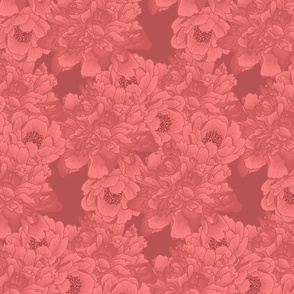 Peonies pink red (large)