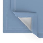 Dull cerulean powder gray blue solid color / plain light blue color block swatch / muted cool pastel dark steel blender coordinates solids