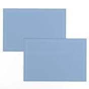 Dull cerulean powder gray blue solid color / plain light blue color block swatch / muted cool pastel dark steel blender coordinates solids