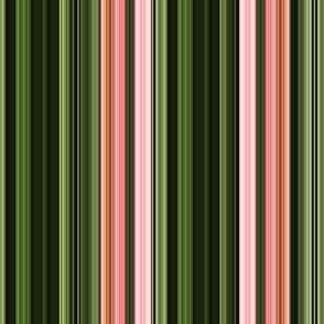 Pink and green stripes wild rose collection 