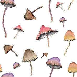 Forest Mushrooms