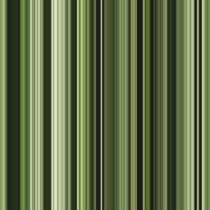 Green stripes wild rose collection