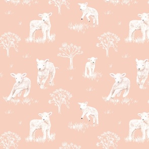 Lamb (Pink)