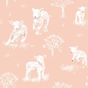 Lambs (Larger Scale, Pink)