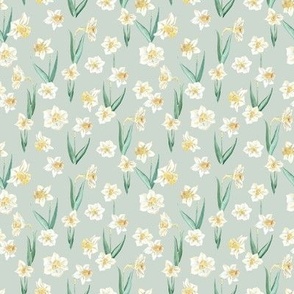 (M) daffodils on milky green Medium Scale