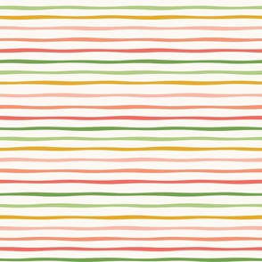 medium rainbow stripe / A