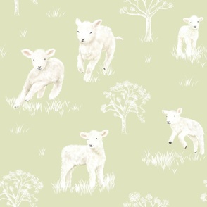 Lambs (Larger Scale, Green)