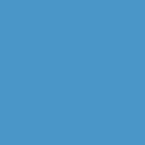 4A96C8 Solid Color Map Muted Sky Blue