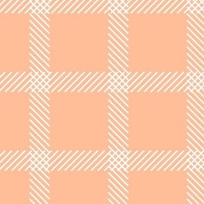 Plaid with a Twist - Peach Fuzz - Pantone 2024 - Color of the Year - Gingham - Warm Peach - Tattersall - Geometric - Minimalist - Checks