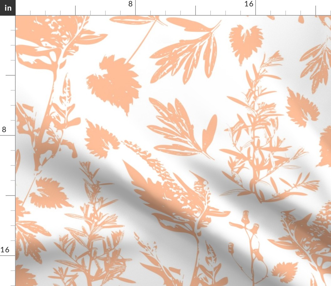 Large scale traditional botanical print with flowers, plants, leaves and wild rosemary in peach and white.