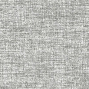 Celebrate Color Natural Texture Solid Gray Plain Gray Neutral Earth Tones _Stonington Gray Silver Gray C9C9C2 Subtle Modern Abstract Geometric