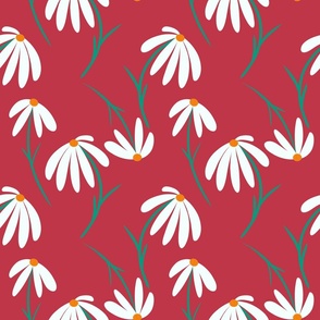 Daisies - Red
