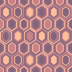 Retro Hexagons (12") - orange, purple (ST2023RH)