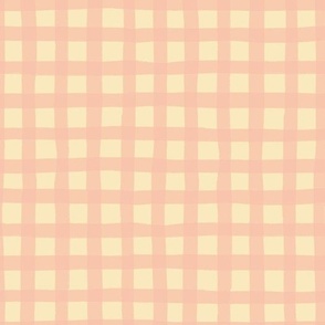 Pink Check// Gingham//Medium//10"x10"