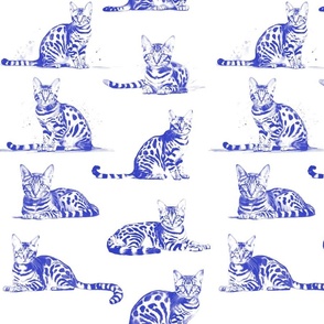 bengal cats blue toile on white background