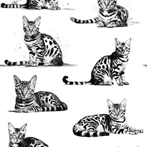 bengal cats black and white toile
