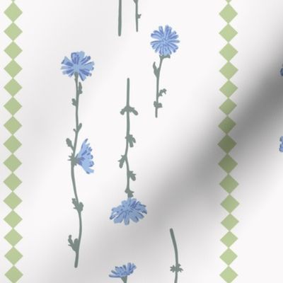 blue chicory flowers - green stripe