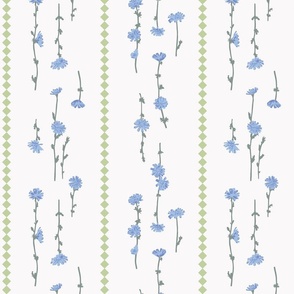 blue chicory flowers - green stripe