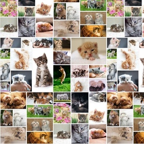 Cute Kitten Photo Montage Pattern, Medium Scale