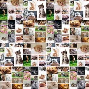 Cute Kitten Photo Montage Pattern, Small Scale