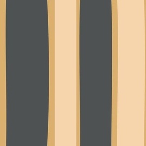 Decor Stripe-Thick and Thin Stripes-Cracked Pepper-Sweet Maple-Pale Honey