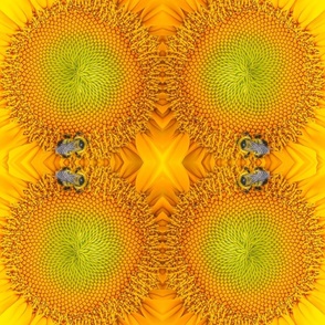 Dizzy Sunflower With Bee (Large Design)