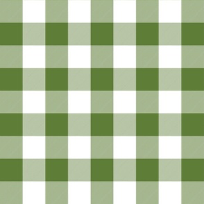 2 Inch Vichy Check Green and White