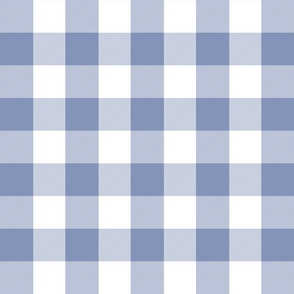 2 Inch Vichy Check Periwinkle Blue and White