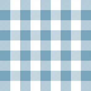2 Inch Vichy Check Blue and White
