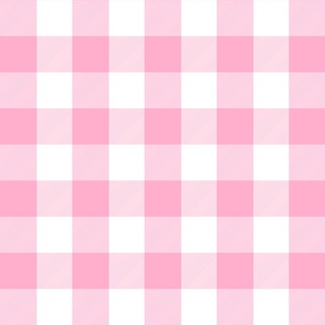 2 Inch Vichy Check Bright Pink and White