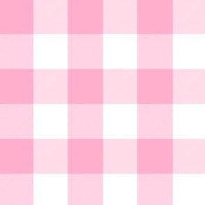 1 Inch Buffalo Check Pink and White