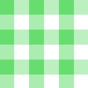 1 Inch Buffalo Check Bright Green and White