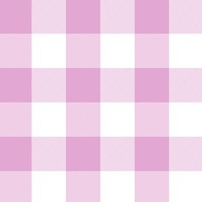 1 Inch Buffalo Check Bright Pink and White