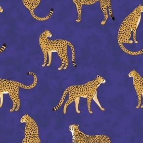 Cheetah Stealth