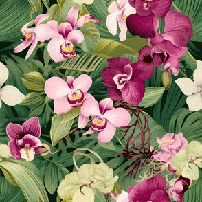 Vivid Fuchsia Orchids Garden ATL_2212