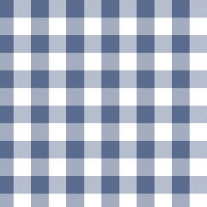 1/2 Inch Buffalo Check | Half Inch Check Periwinkle Blue and white
