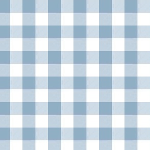 1/2 Inch Vichy Check | Half Inch Check Blue and white