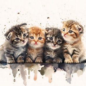 Kittens_Scottish_fold_1