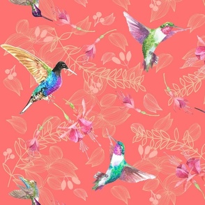 (M) Hummingbirds and Fuchsia flowers
