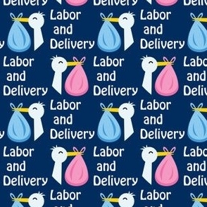 Labor and Delivery Storks on dark blue 