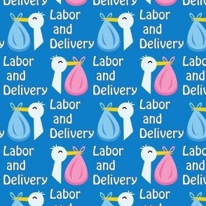 labor and delivery storks on  bluebell  