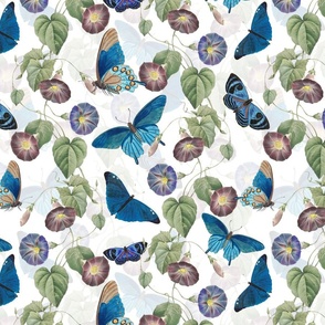 14" Vintage Summer Romanticism: Blue Florals, Tendrils And Butterflies - Antiqued Ipomea and Nostalgic Gothic Mystic Blue Insects -Antique Botany  Wallpaper and Victorian inspired - white  double layer