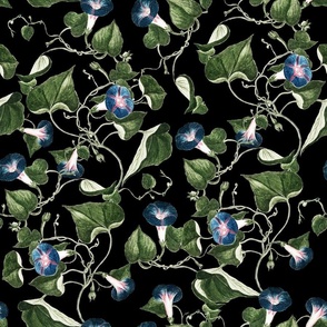18" Vintage Summer Romanticism: Blue Florals, Tendrils Leaves - Antiqued and Nostalgic Gothic Mystic Blue Ipomea -  Antique Botany Wallpaper and Victorian inspired Climbers - black double layer