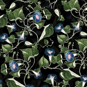 18" Vintage Summer Romanticism: Blue Florals, Tendrils Leaves - Antiqued and Nostalgic Gothic Mystic Blue Ipomea -  Antique Botany Wallpaper and Victorian inspired Climbers - black