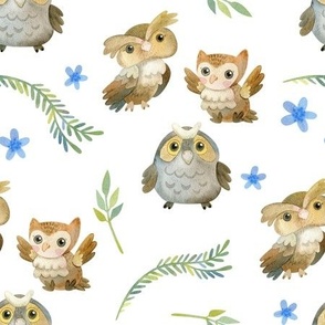 Owl birds