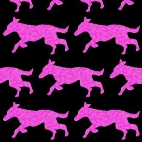 Magenta clouds surfaced running dog on black